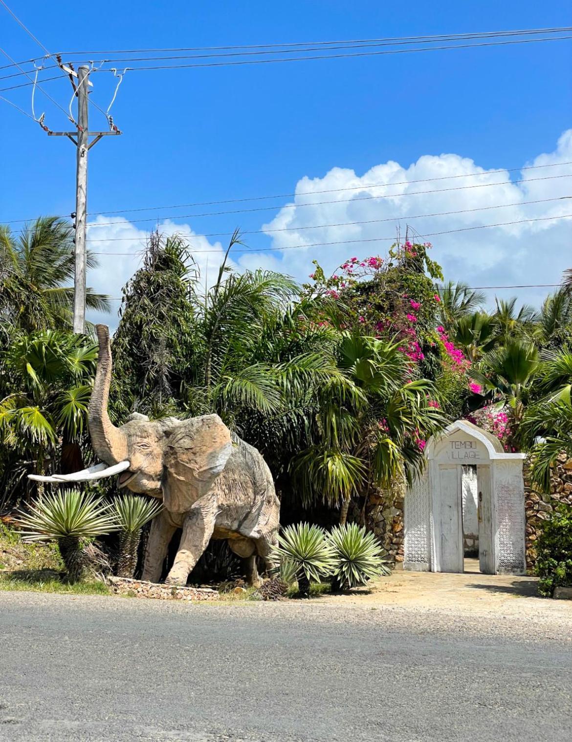 Tembo Village Ватаму Экстерьер фото